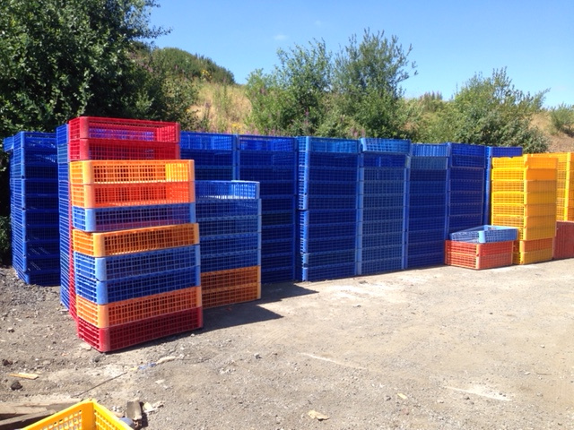 Stacks of blue, yellow and red plastic crates