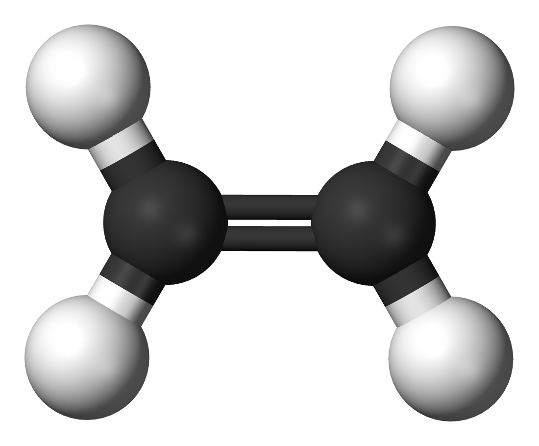 LDPE material illustration